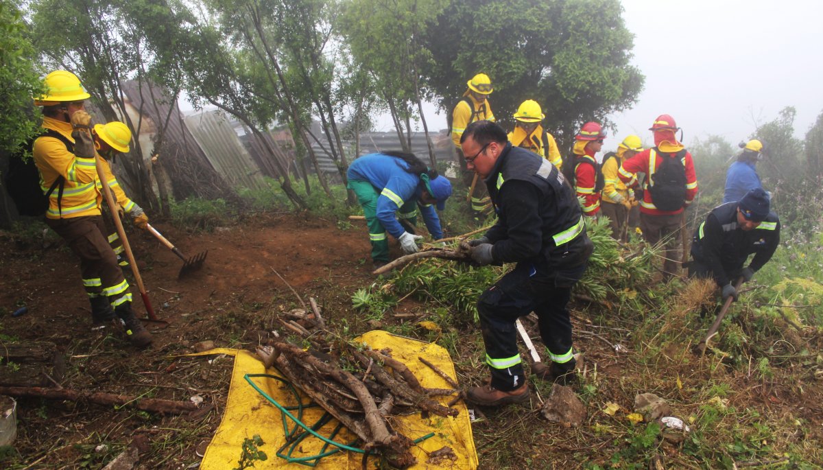 Fortalecen la seguridad de las viviendas en el cerro Cordillera de Valparaíso frente a posibles incendios forestales.