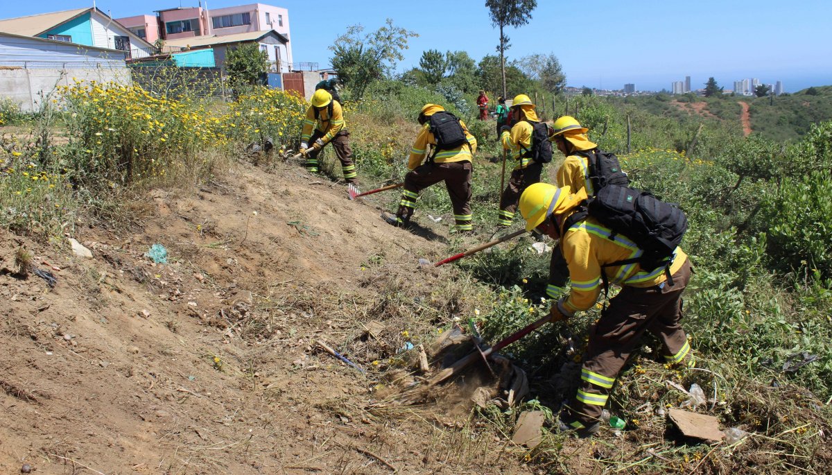 Llevan a cabo operativo para prevenir incendios forestales en conocida villa de Viña del Mar.