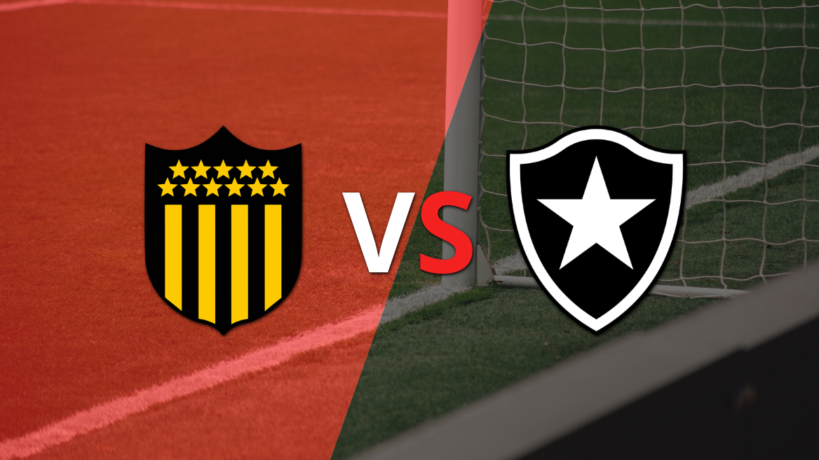 Peñarol y Botafogo luchan por un cupo en la final.