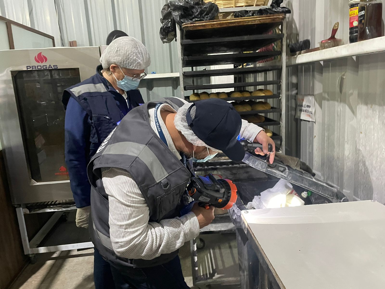 Supermercado: riesgos para la salud por la presencia de roedores y moscas.