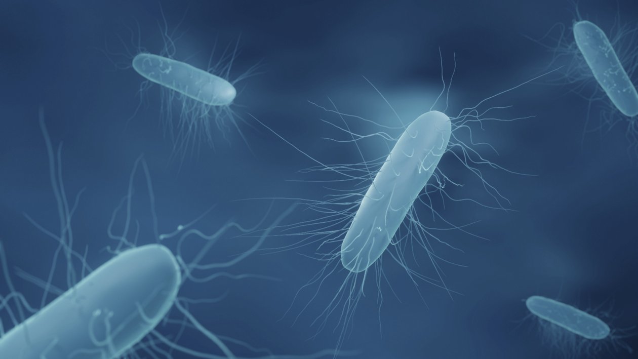 Advertencia de salud: productos contaminados con listeria.