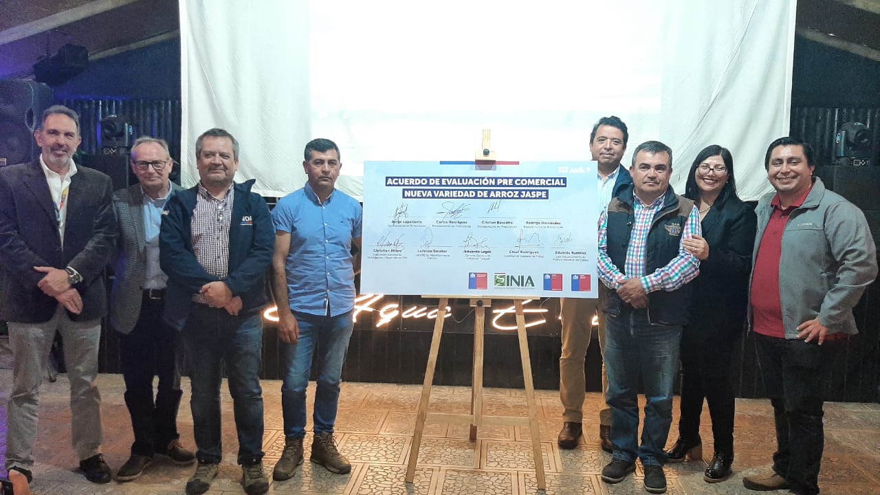 El Ministerio de Agricultura lanza el programa de transferencia tecnológica para la nueva variedad de arroz JASPE.
