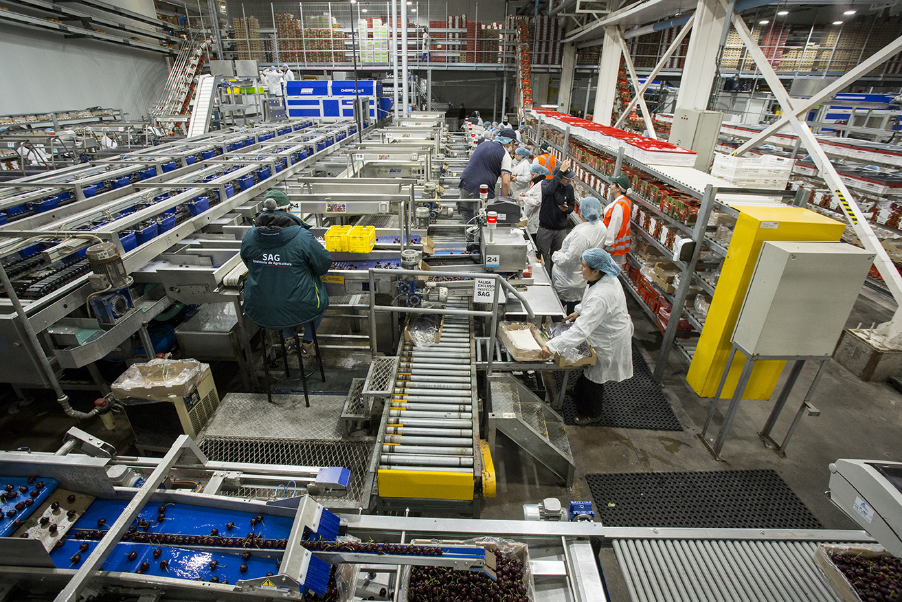SAG da inicio a una temporada histórica de exportación de cerezas chilenas con el envío de las primeras 10 toneladas.