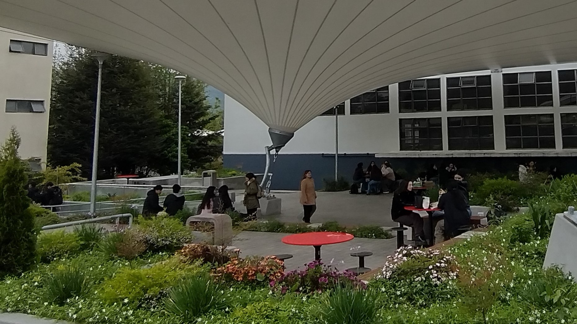 Más de 44 mil estudiantes de la región del Maule en educación superior obtuvieron acceso a la Gratuidad.