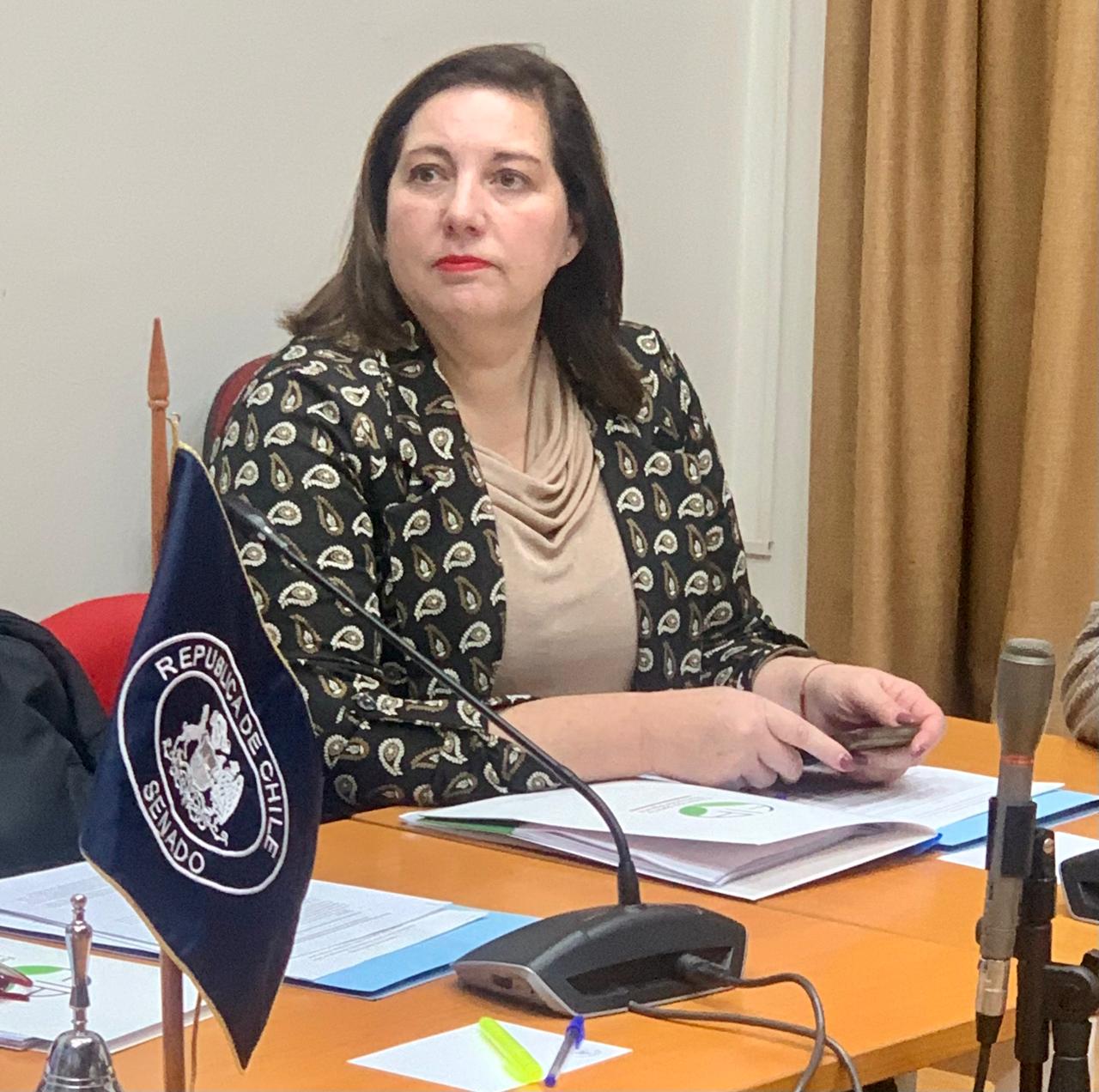 La senadora Vodanovic resaltó la emisión del Decreto 39 que favorece a los agricultores del Maule.