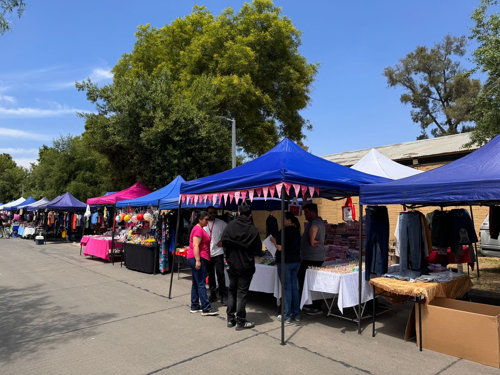 La Municipalidad de Talca llevará a cabo la Feria de Todos Los Santos este jueves, viernes y sábado.