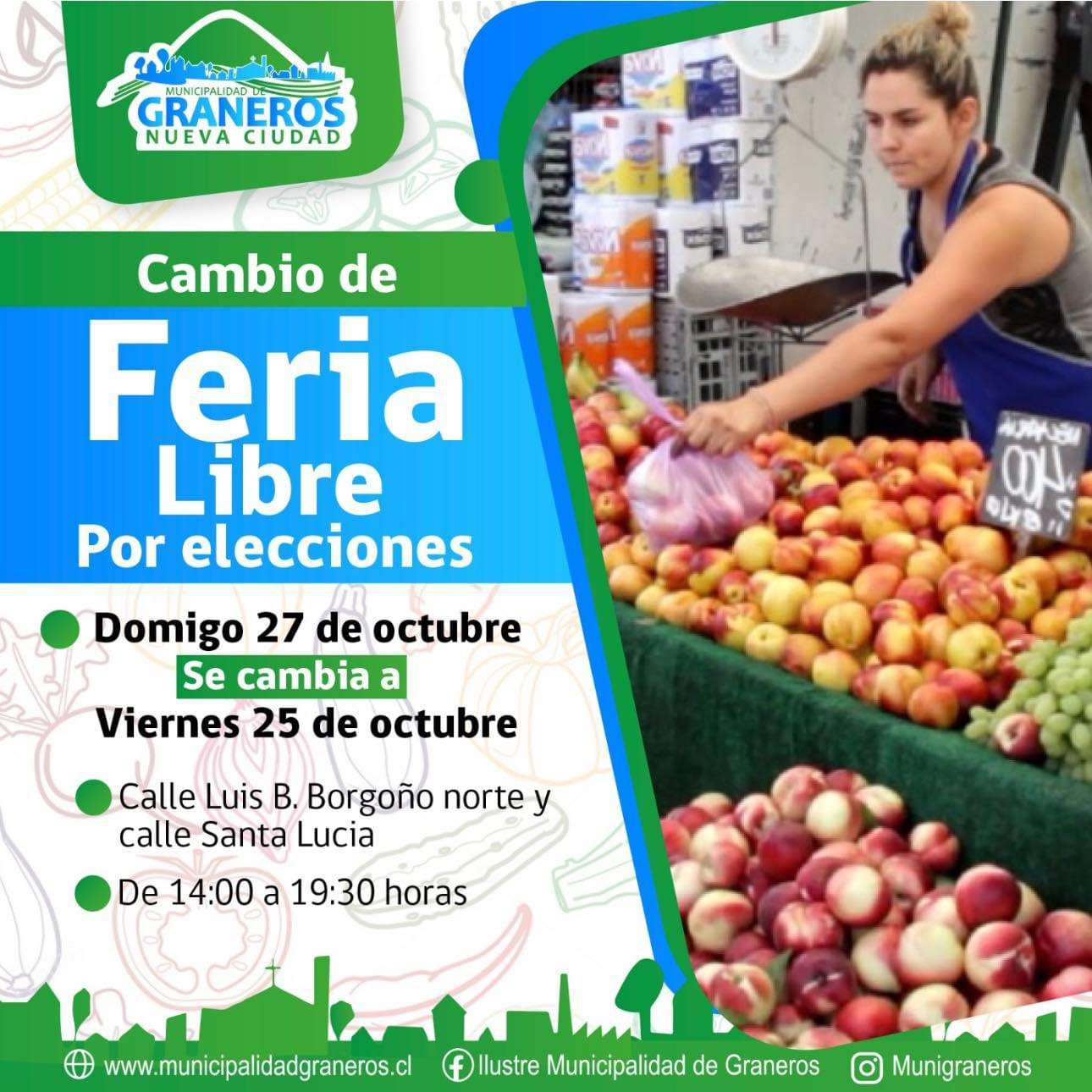 Cambio de feria libre en calle Luis Borgoño por elecciones.