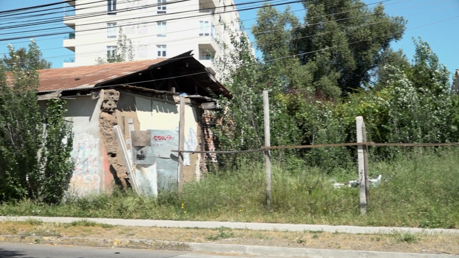 Fundación Gerontológica: Desafíos en Seguridad y Convivencia