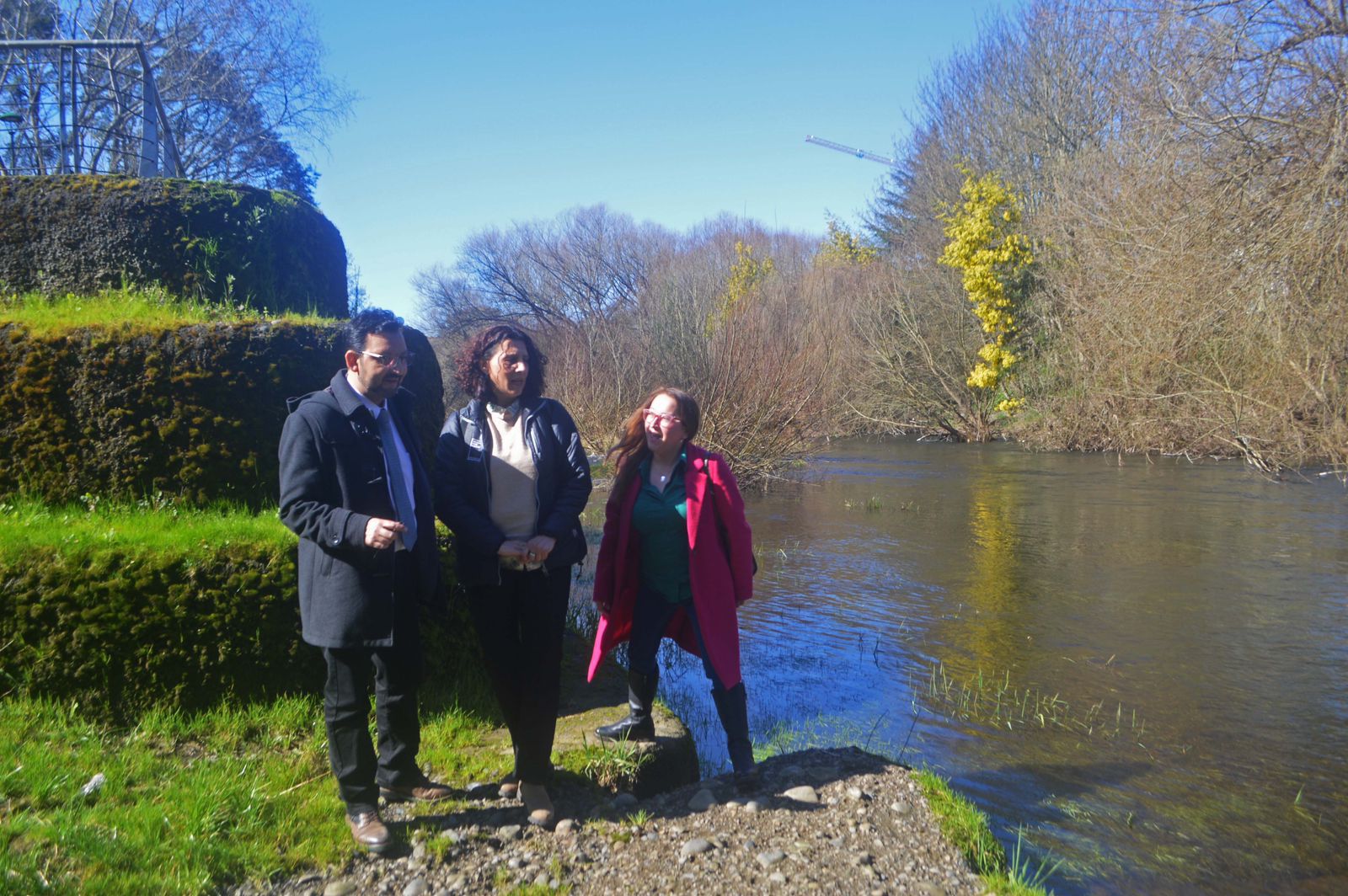 La Comisión de Medio Ambiente del CORE Los Lagos convoca a una jornada fundamental sobre el Río Rahue en Osorno.