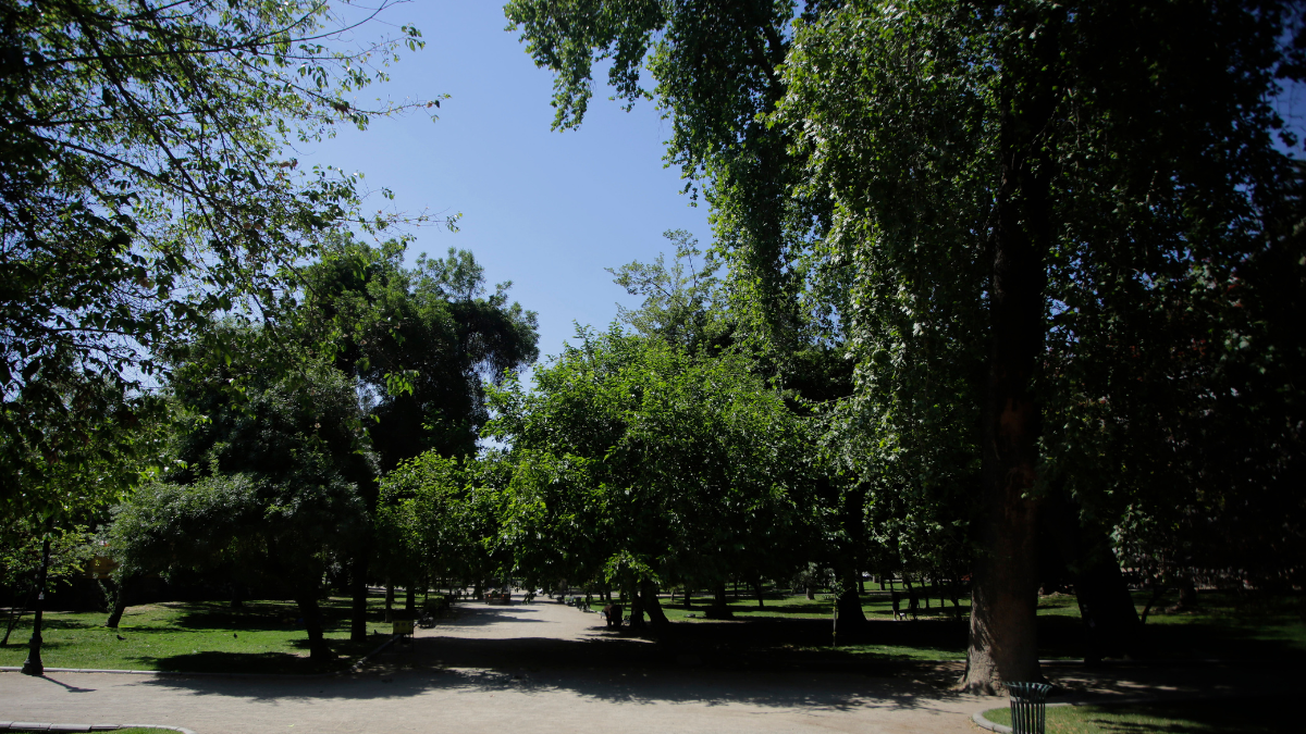 Inicia la construcción del Parque Recreativo Santa María de El Boldo: Nuevas zonas verdes en Curicó.