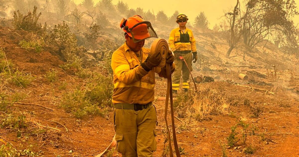 Llevan a cabo una capacitación sobre prevención y mitigación de incendios forestales en Valparaíso.