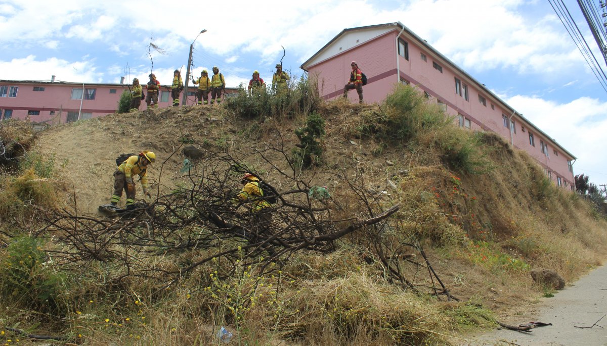 Se lleva a cabo una jornada sobre gestión de la vegetación para prevenir y mitigar incendios forestales en El Olivar de Viña del Mar.
