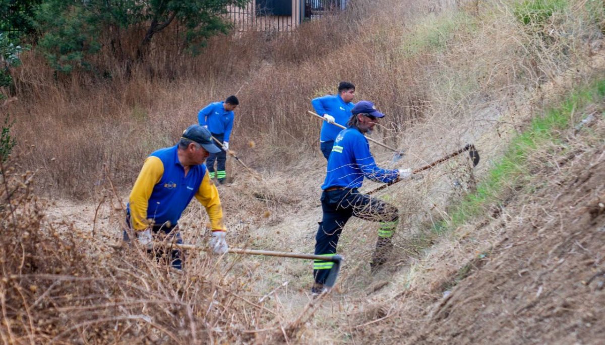 Supervisan los avances y la planificación de trabajos preventivos contra incendios forestales durante Cogrid en Viña del Mar.