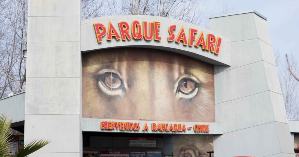 Propietario del Parque Safari de Rancagua ha sido condenado por cuasidelito de homicidio tras el fallecimiento de una trabajadora atacada por un tigre.