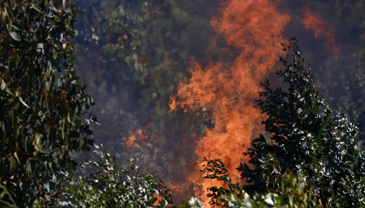 Incendio forestal en Laguna Verde de Valparaíso podría haberse originado por una fogata mal apagada.