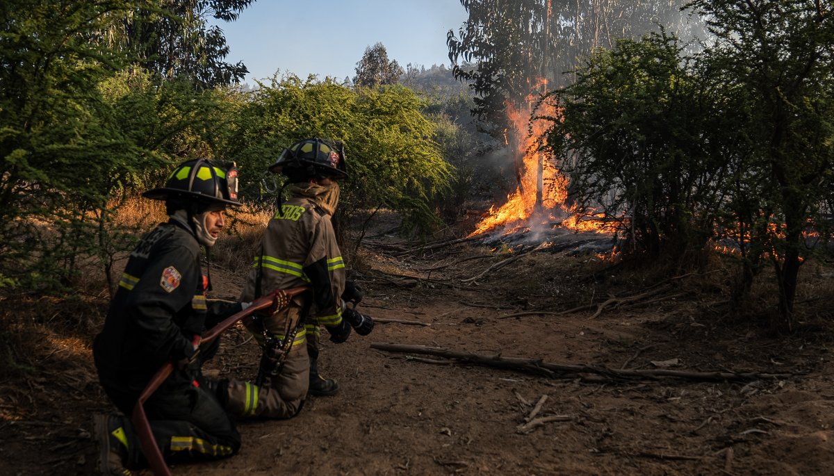 Senapred mantiene a Viña del Mar, Concón, Quilpué, Villa Alemana e Hijuelas en Alerta Roja debido a la simultaneidad de incendios forestales.