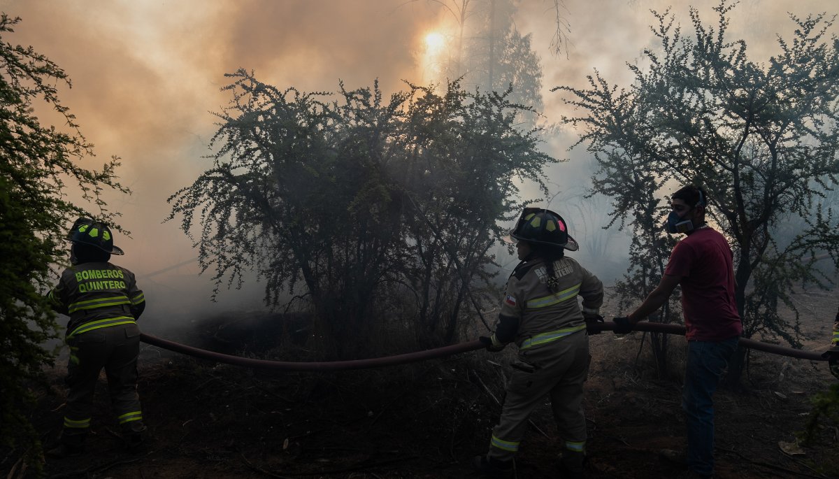 El incendio forestal en Quilpué y Villa Alemana ha afectado 300 hectáreas: las labores de combate continúan.