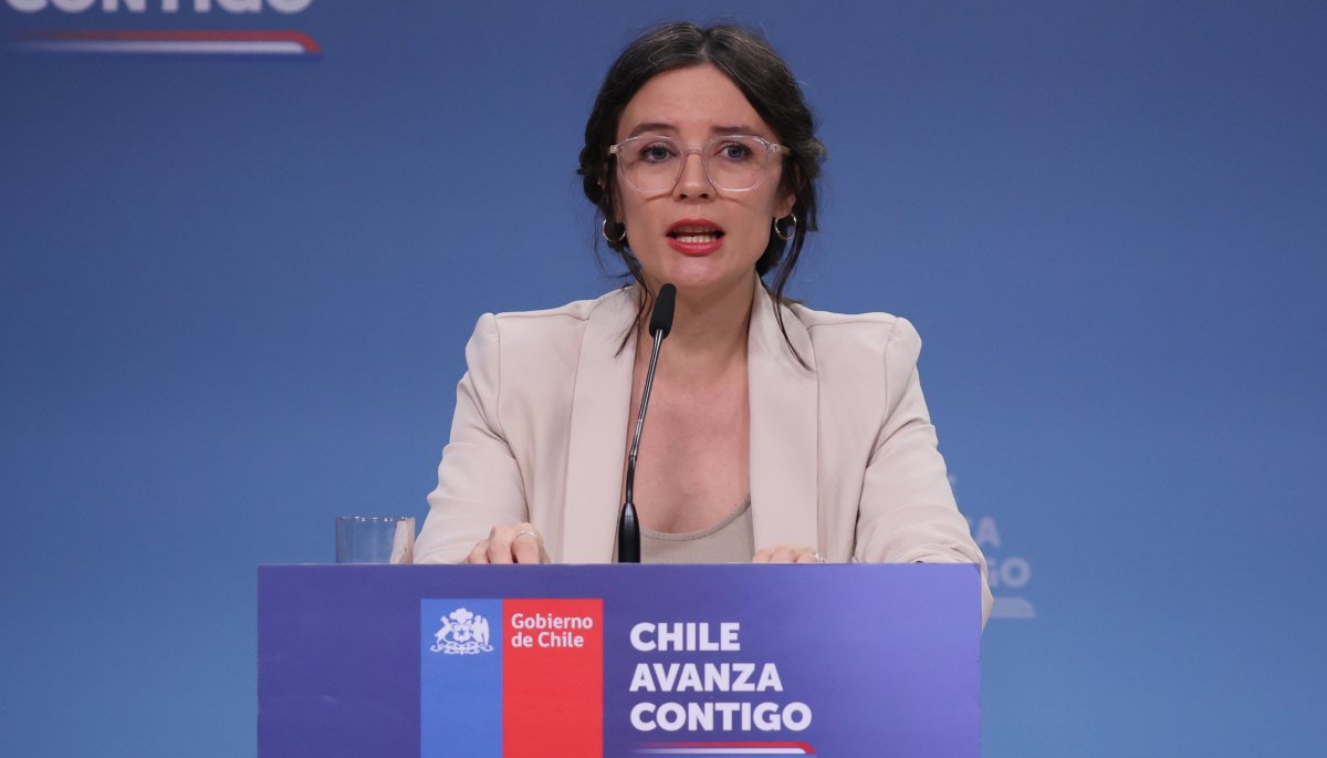 Vallejo minimiza la falta del canciller argentino en la conmemoración del Tratado de Paz y Amistad entre Chile y Argentina.