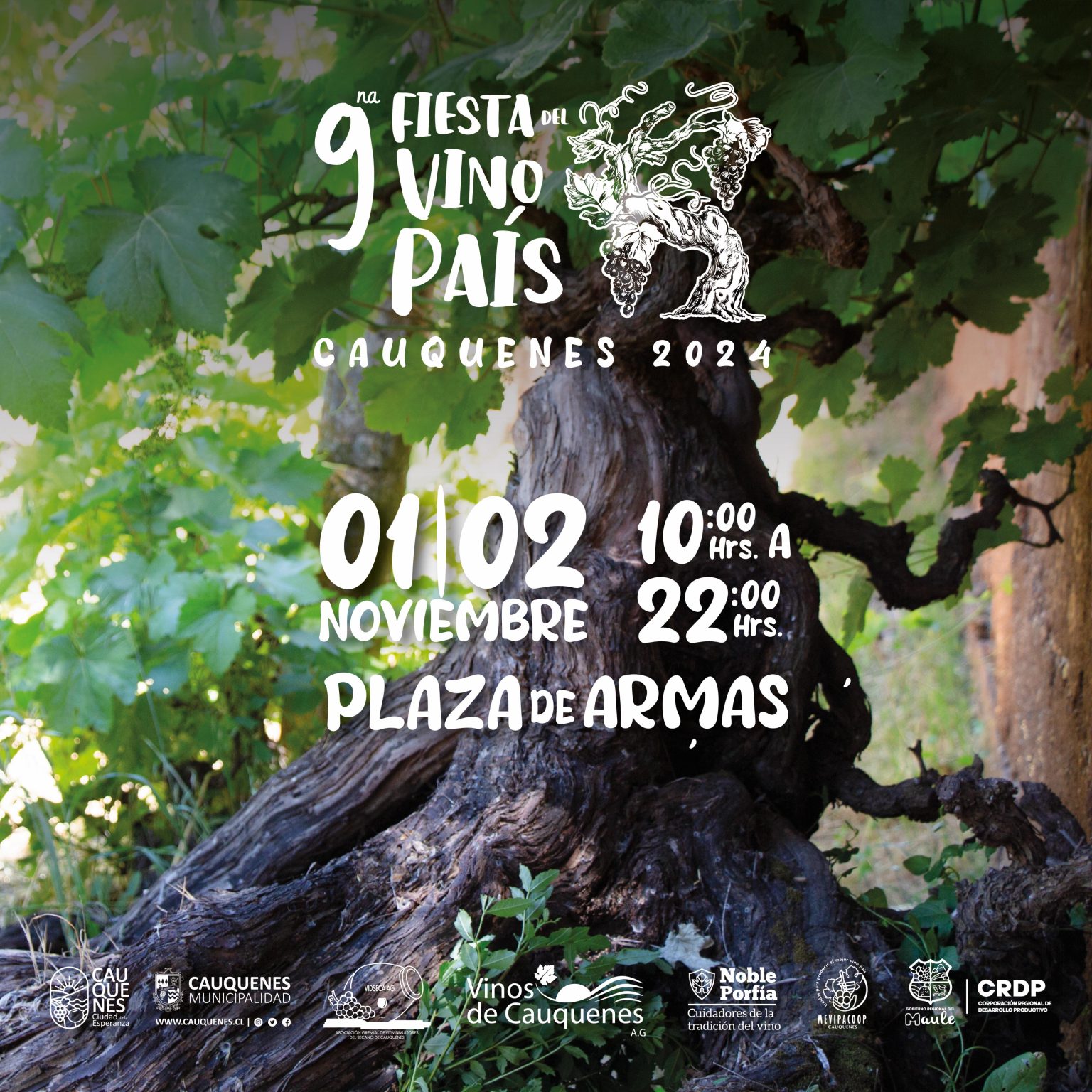 La Corporación Regional de Desarrollo Productivo impulsa la Fiesta del Vino País en Cauquenes.