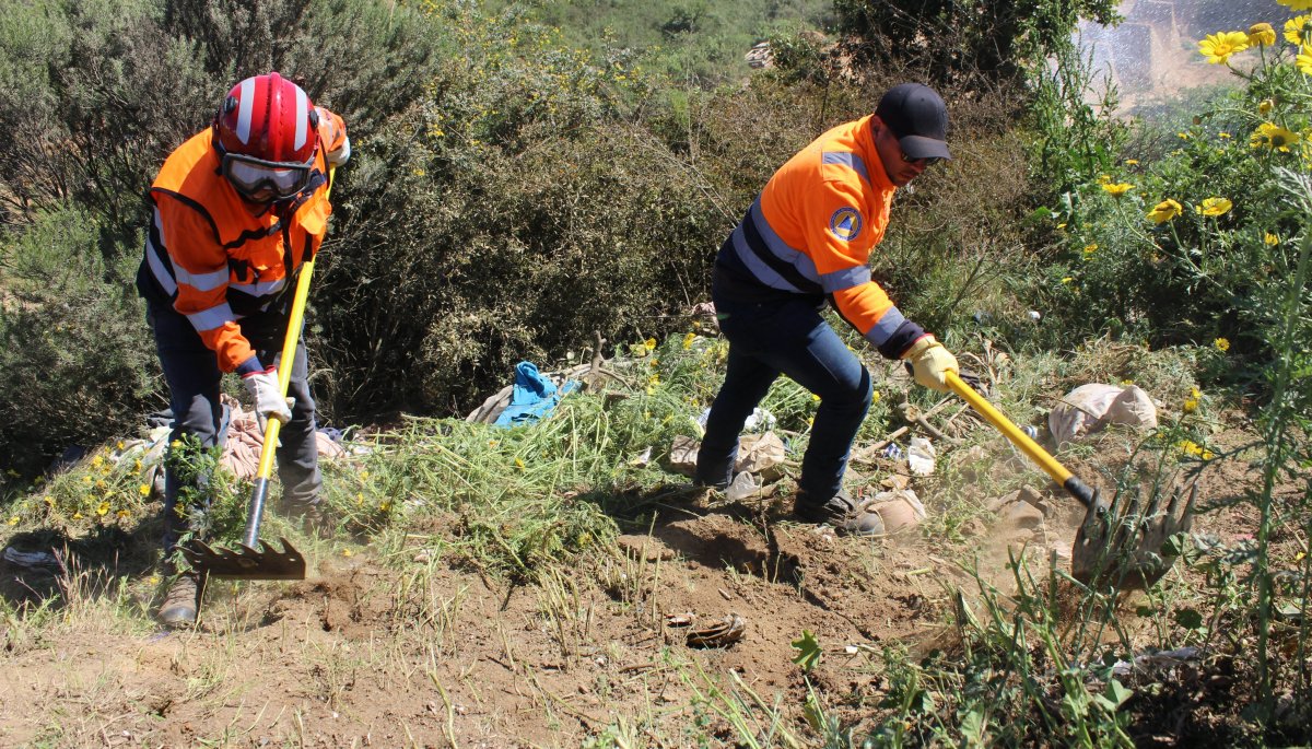 Subrayan la realización de 420 kilómetros lineales de cortafuegos para enfrentar la temporada alta de incendios forestales en la V Región.