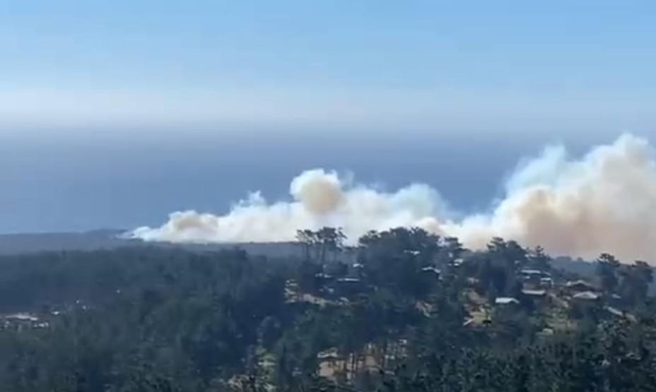 Piden evacuar tres áreas debido a un incendio forestal en Laguna Verde, Valparaíso: Se han visto afectadas cinco hectáreas.