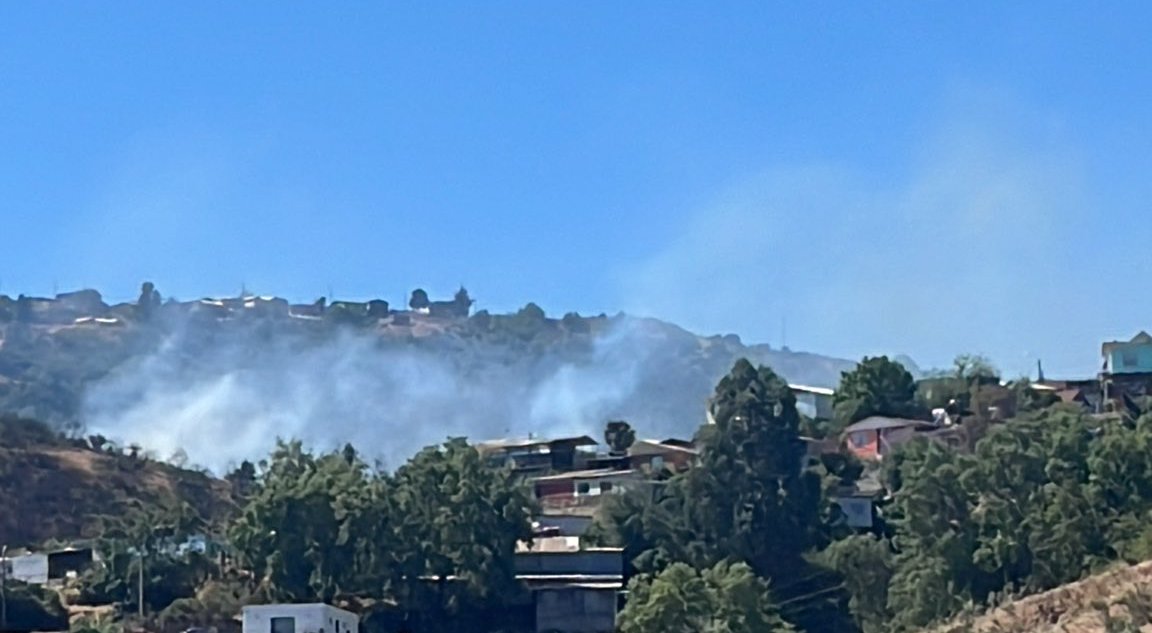 Equipos de emergencia se encuentran combatiendo el incendio forestal que afecta la zona de Villa Hermosa en Viña del Mar.