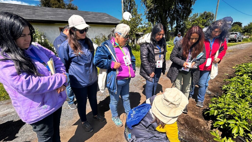 Agricultoras de la Región del Biobío obtienen certificación como monitoras de riego.