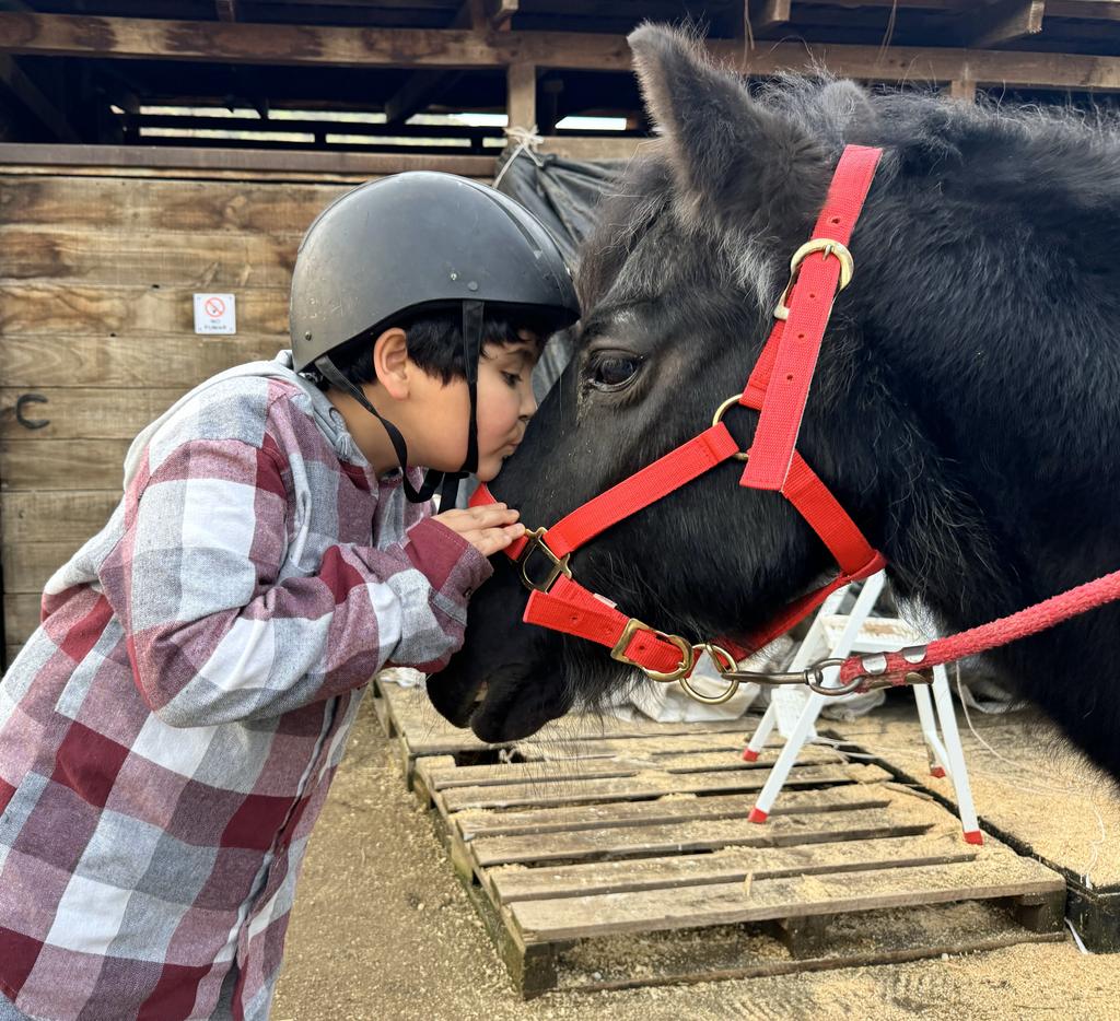 El elevado costo de la hipoterapia limita el acceso a una actividad esencial para niños con TEA en Chile.