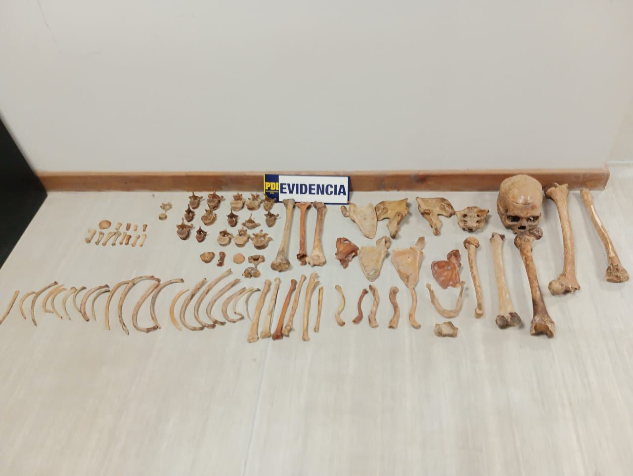 Mujer arrestada por intentar introducir restos humanos a través del Paso Pehuenche.