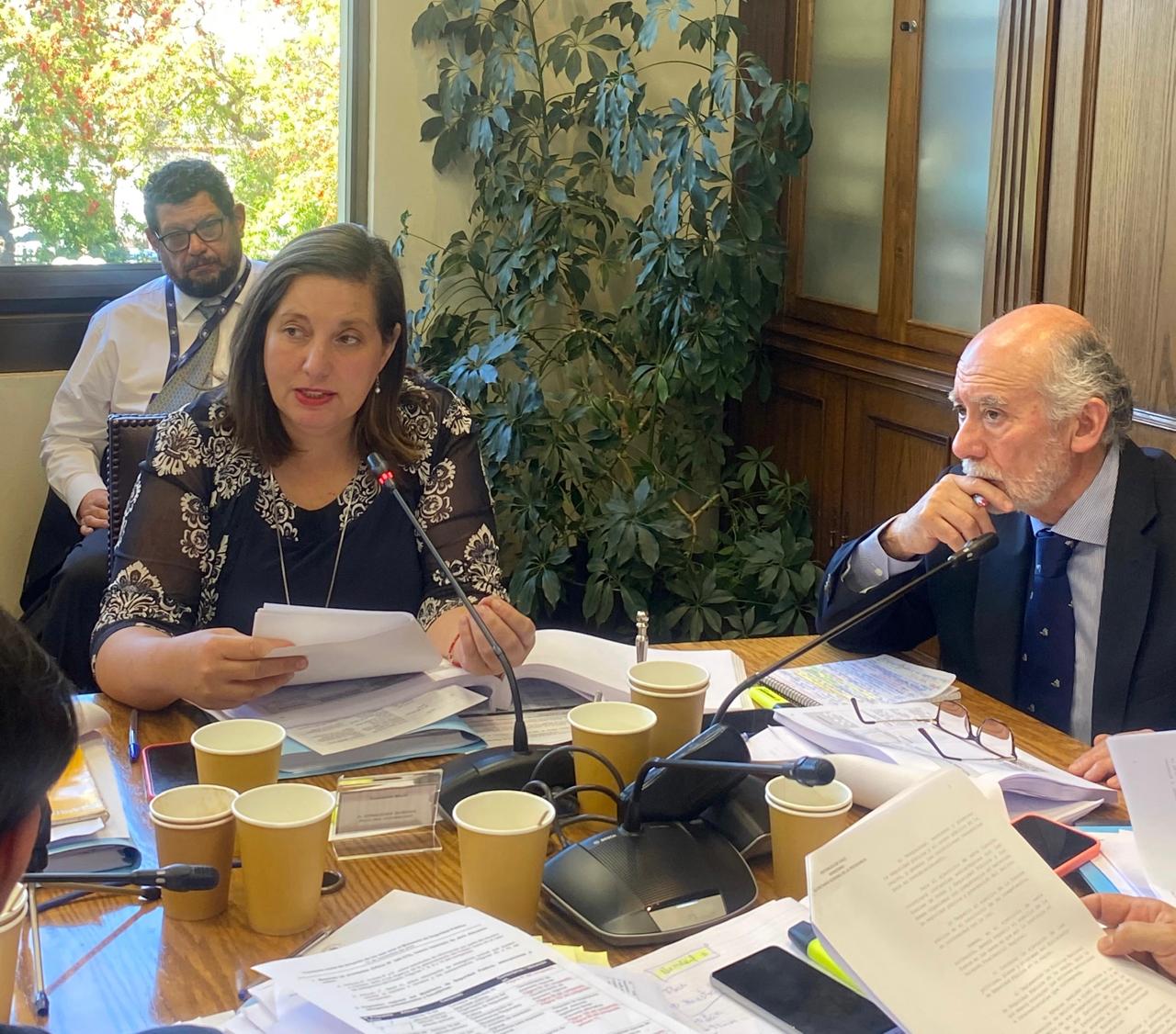 Senadora Vodanovic destacó la aprobación en la comisión mixta del Ministerio de Seguridad Pública.