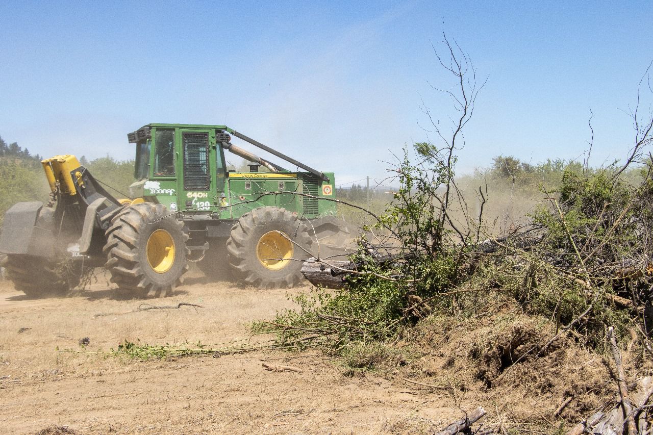 Conaf Maule llevó a cabo la instalación de 25 km de cortafuegos en la zona de Nirivilo–Rastrojos en San Javier.
