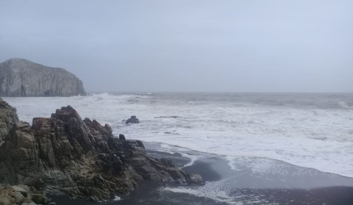 Simulacro: Mejorando la Preparación para Desastres Naturales.