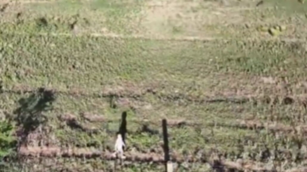 ¡Gracias a un dron!: Un niño de tres años es hallado en La Pampa tras estar perdido durante cinco horas.