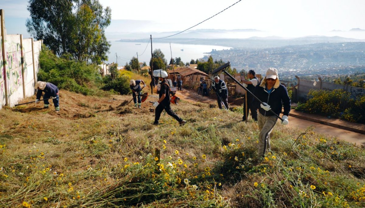El plan de prevención de incendios en Valparaíso se centrará en la comunidad.