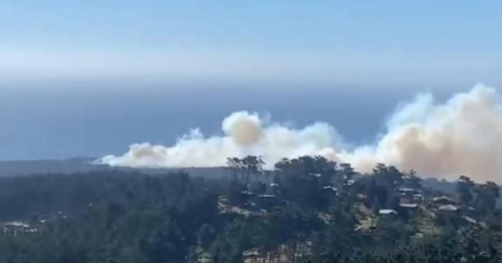 Incendio forestal provoca evacuaciones en un área de Valparaíso y se declara alerta roja.
