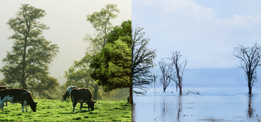 Becas para la gestión del agua: recursos digitales.