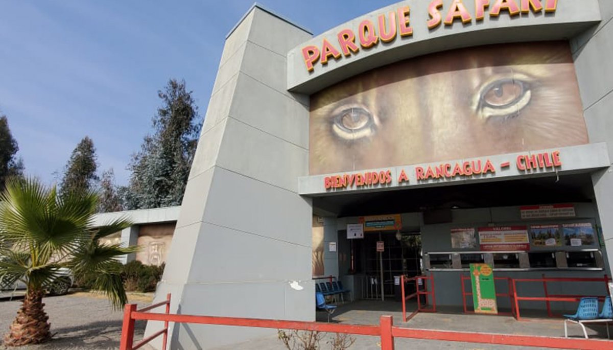 Emiten veredicto de culpabilidad contra directivos del zoológico de Rancagua por la muerte de una trabajadora atacada por un tigre.