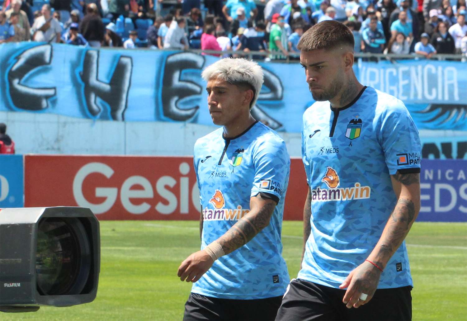 La rabia en Rancagua