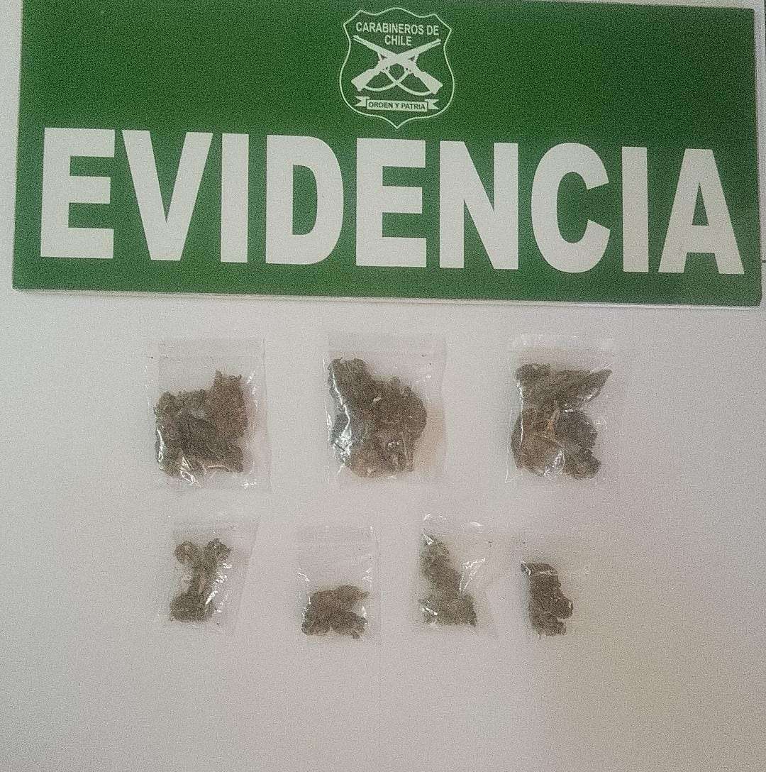 Detenidos por órdenes de aprehensión vigentes y posesión de droga.