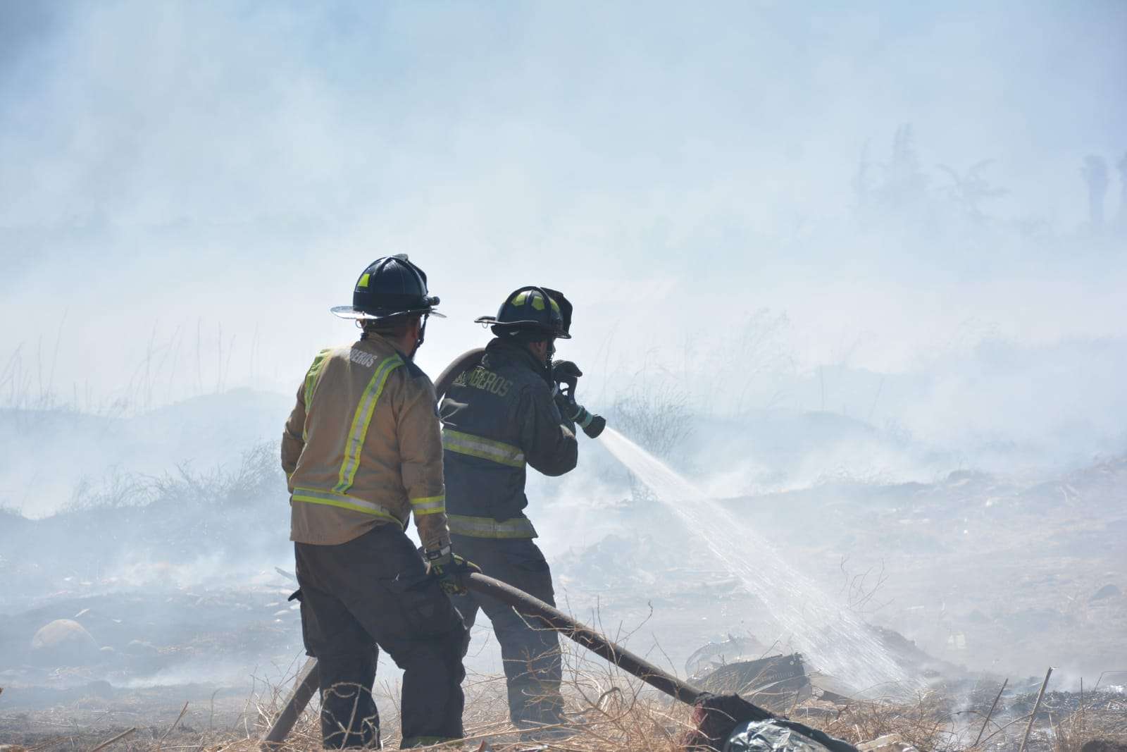 Formalizan a tres sospechosos por su posible responsabilidad en el origen del incendio forestal ocurrido en Pichidegua.