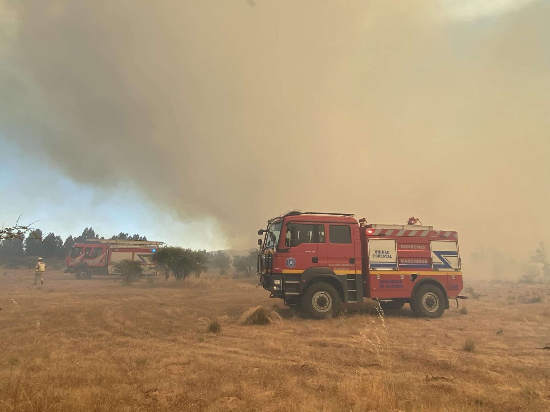 Equipos de emergencia siguen laborando para dominar el incendio forestal en Marchigue.