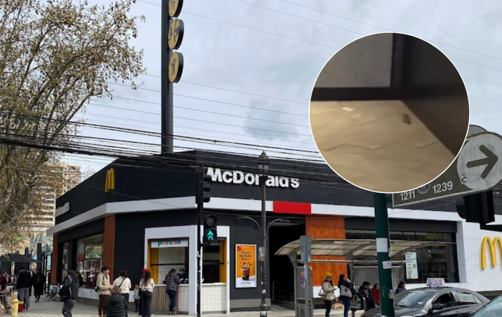 McDonald’s en Talca: Investigación sanitaria por hallazgo de un ratón.