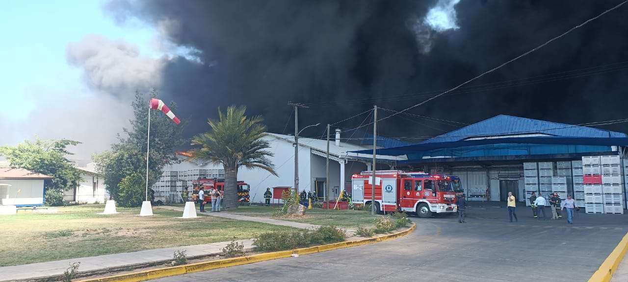 Carabineros investigarán las causas del gigantesco incendio en la empresa David del Curto.