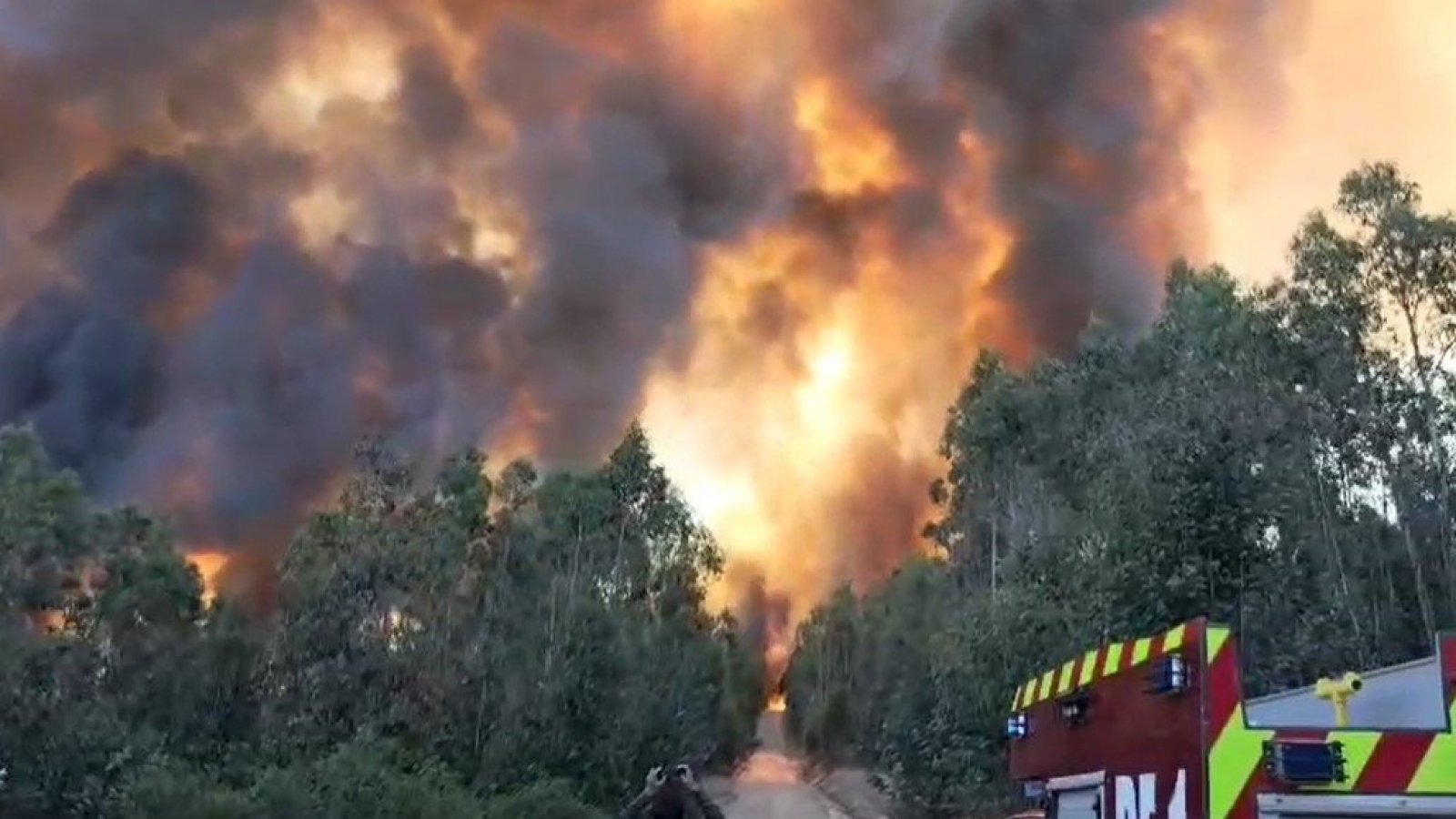 Incendio en Cauquenes: Estado actual y esfuerzos de control