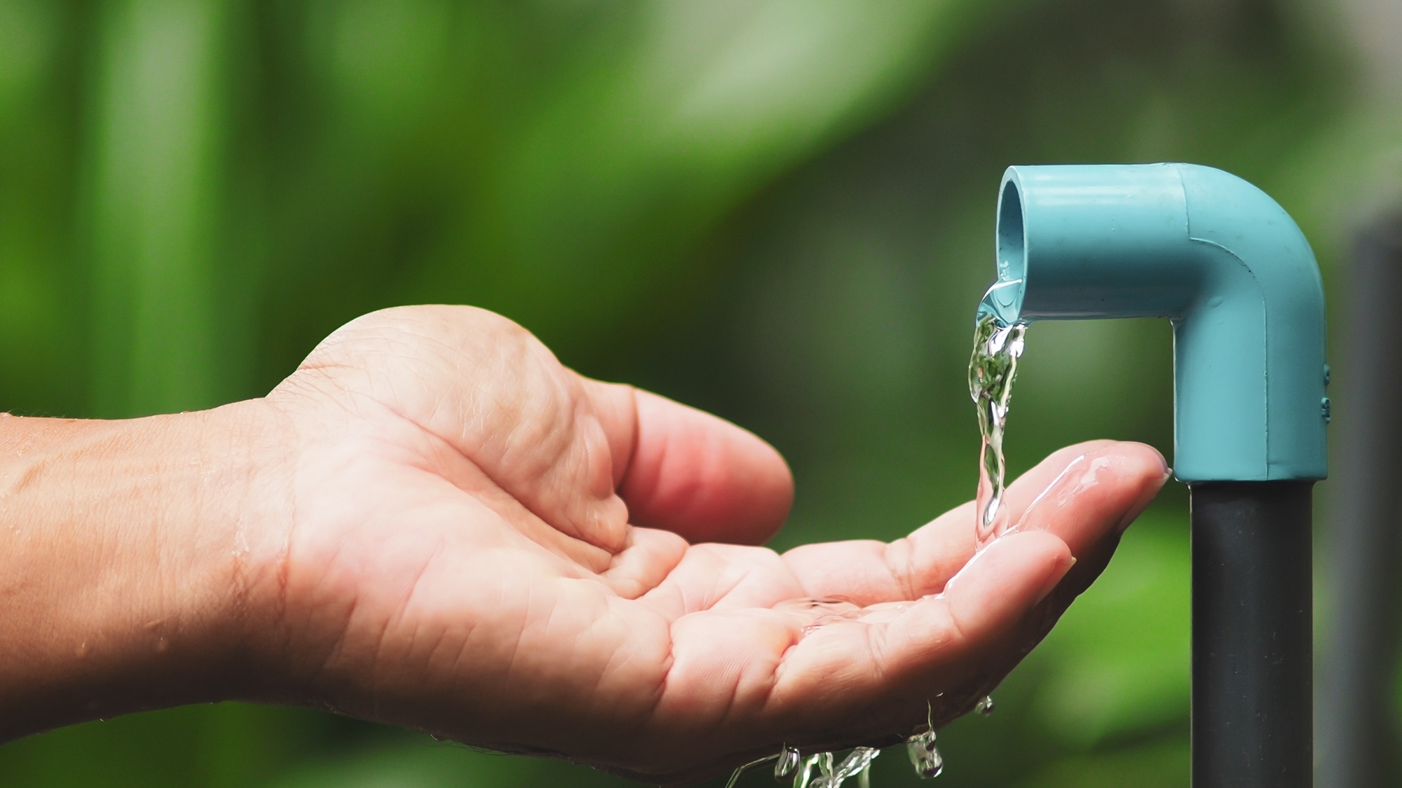 Incremento de casos de Mycoplasma: Estrategias para mejorar la higiene y reducir el riesgo de contagio.