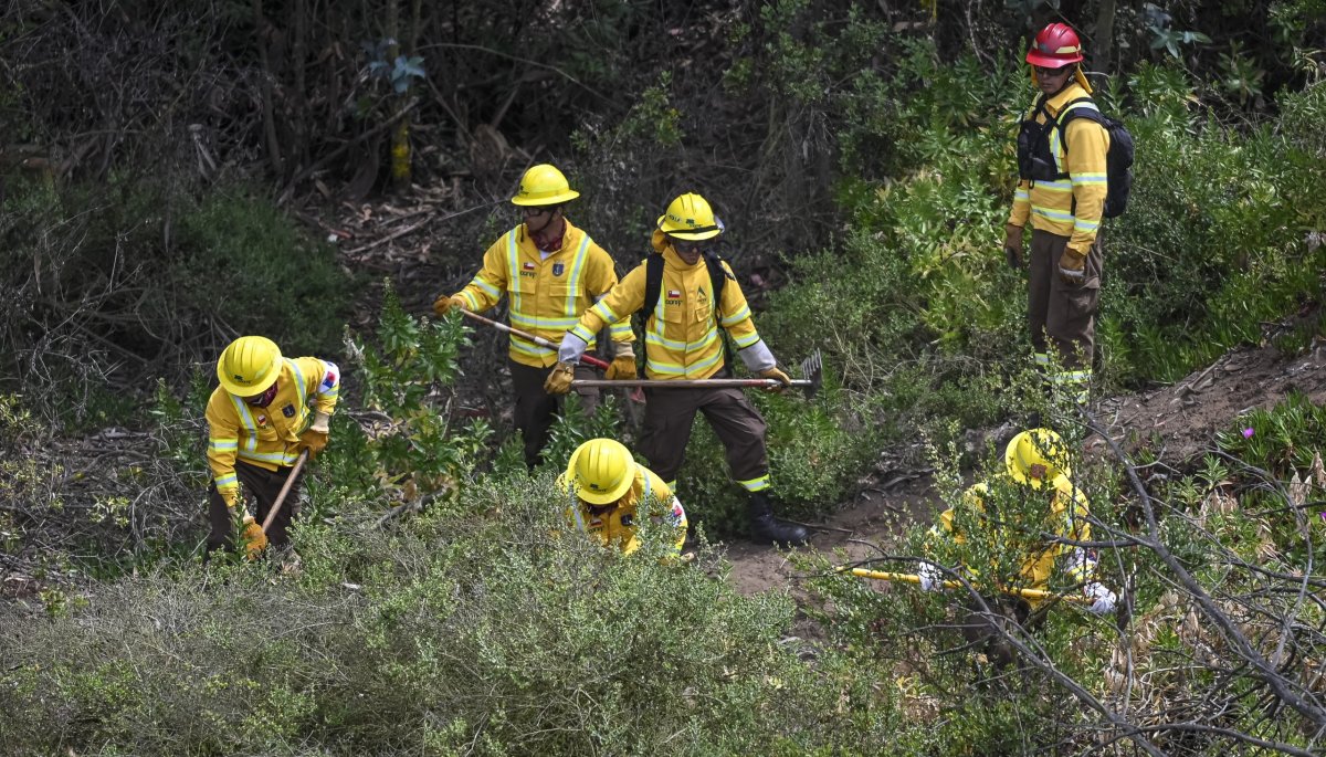 Conaf advierte sobre el riesgo de incendios forestales en la región de Valparaíso debido a las altas temperaturas: «Es más sencillo prevenirlos que enfrentarlos».