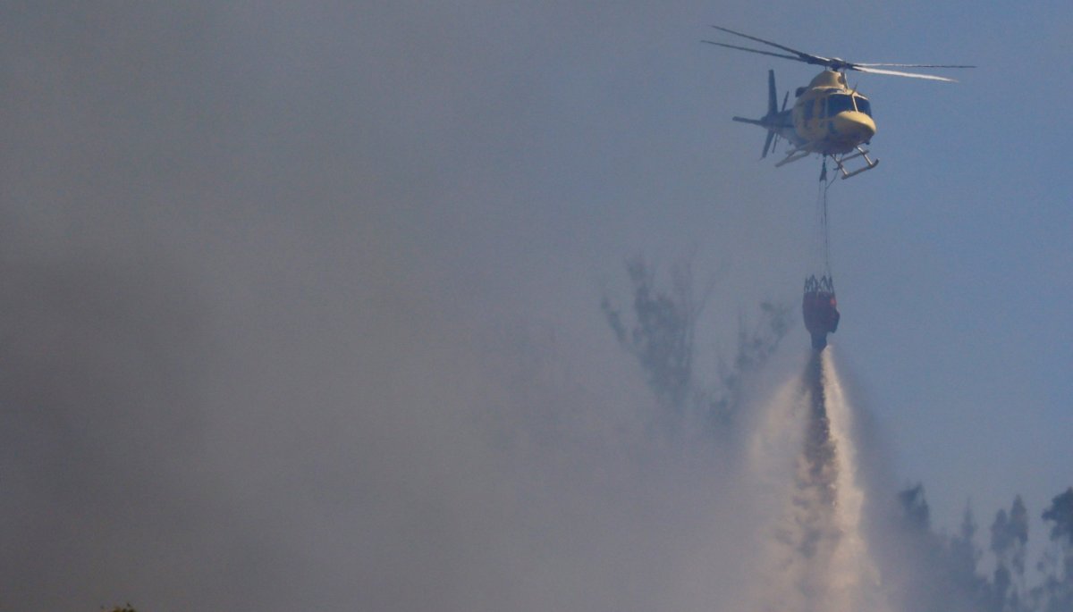 Levantan la Alerta Roja en Valparaíso tras lograr controlar el incendio forestal en la zona alta de la ciudad.
