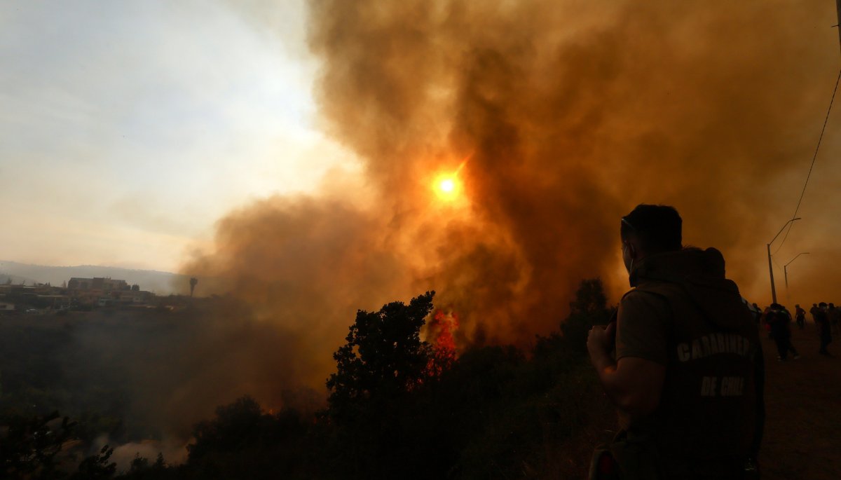 Alerta Roja en Quillota debido a incendio forestal en Fundo Santa Rosa.