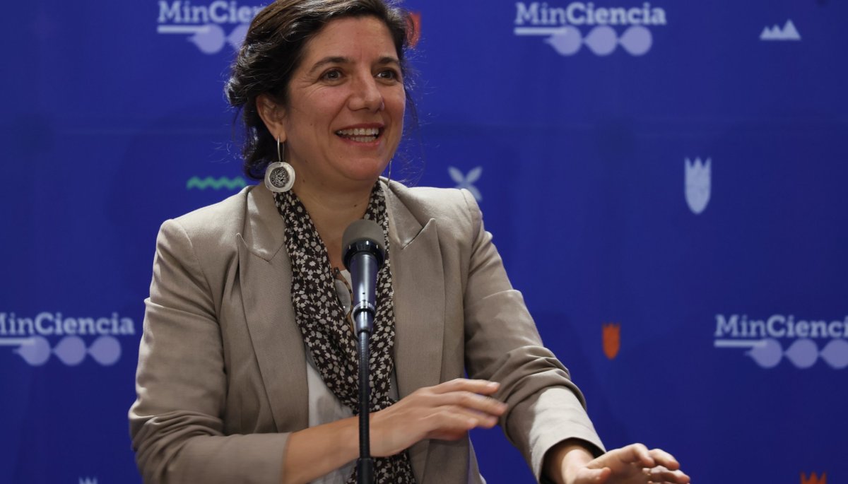 El Gobierno nombra a la ministra Aisén Etcheverry como vocera interina, ya que Camila Vallejo comenzará su licencia prenatal el lunes.