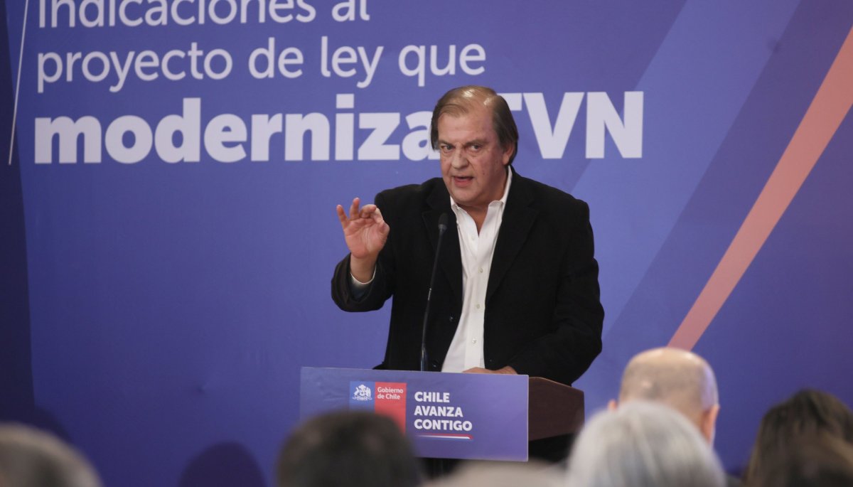 El presidente del directorio de TVN afirma que un apoyo del Estado es crucial para el canal.